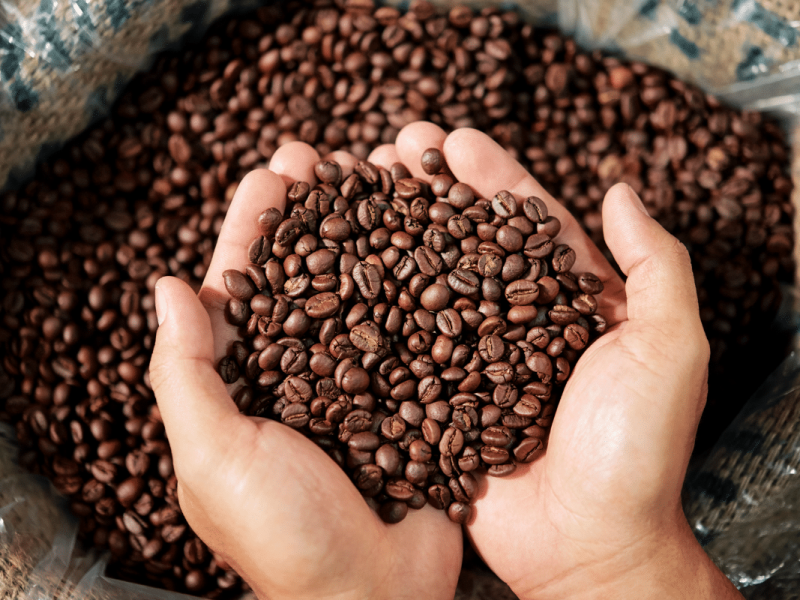 20240630-how-to-roast-coffee-beans-home-roasting-coffe-female-hands-holding-beans